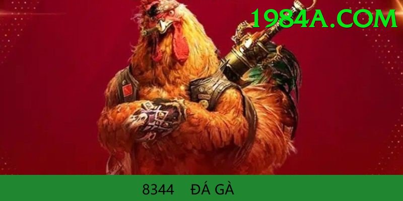 Đá Gà Trực Tiếp - Ưu đãi đặc biệt